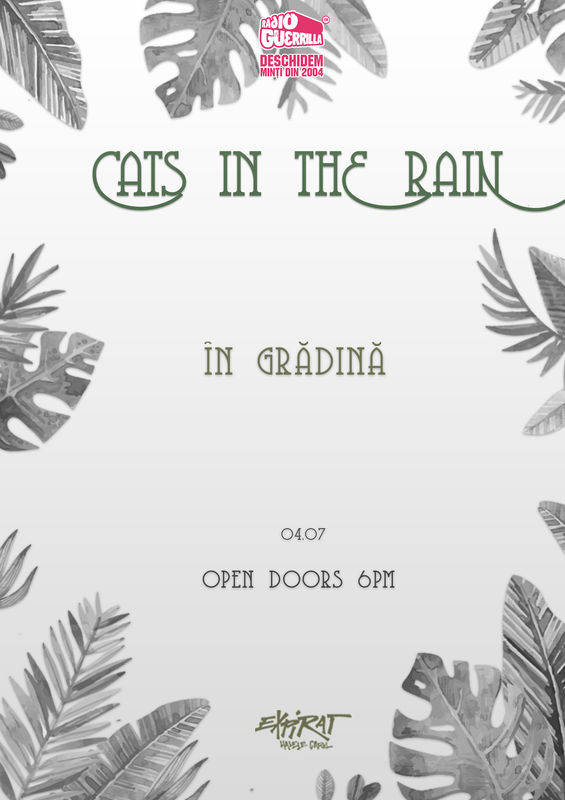 4 Iulie, Bucuresti, Cats In The Rain in gradina la Expirat